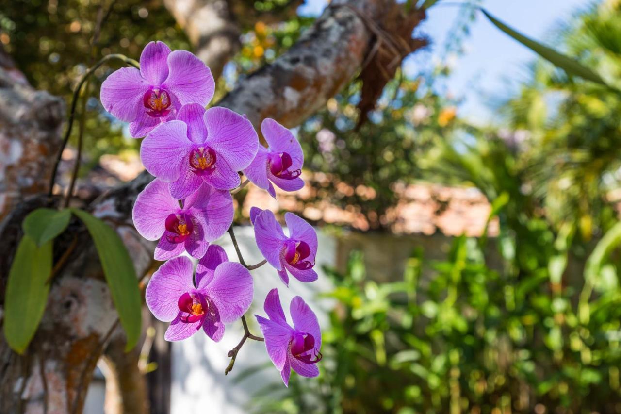 Victor Hugo Pousada Com Natura E L'Occitane Santo André Exteriér fotografie