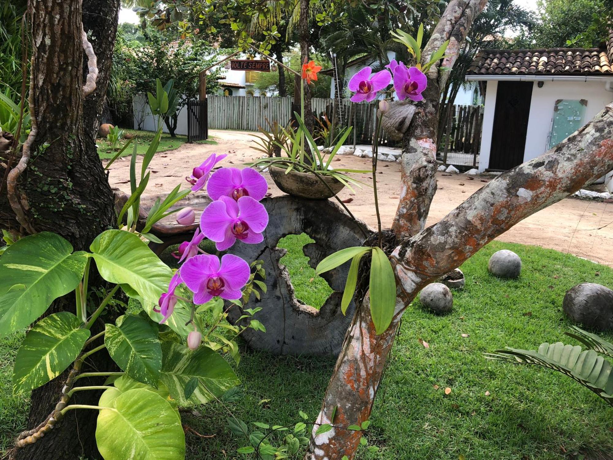 Victor Hugo Pousada Com Natura E L'Occitane Santo André Exteriér fotografie